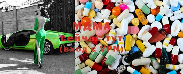 гидра Магас