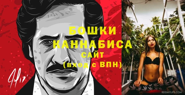 прущие грибы Сафоново