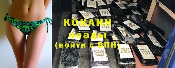 гидра Магас