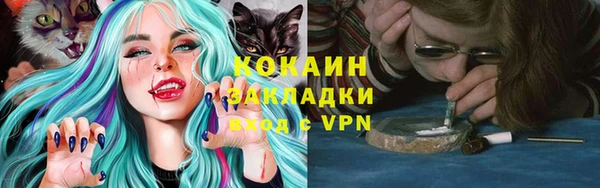 гидра Магас