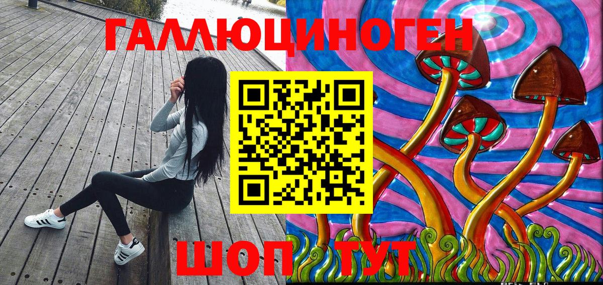 Галлюциногенные грибы Psilocybine cubensis  Тутаев 